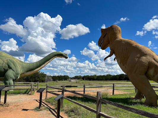 Unveiling Nature's Best: Incredible Camping Destinations Near North Texas